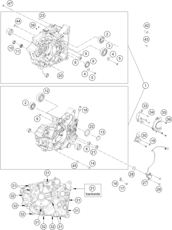 125 Duke Motor Bloğu parça şeması