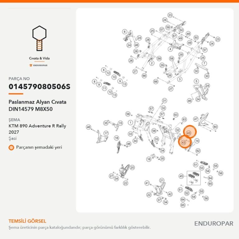 Paslanmaz Alyan Cıvata DIN14579 M8X50 014579080506S parça şeması