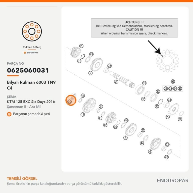 Bilyalı Rulman 6003 TN9 C4 0625060031 parça şeması