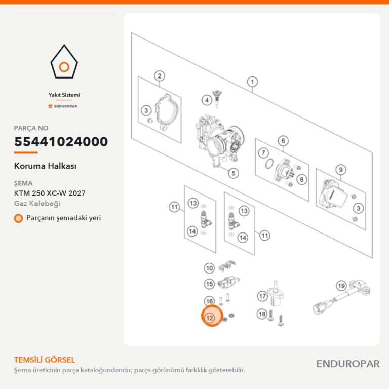 Koruma Halkası 55441024000 parça şeması