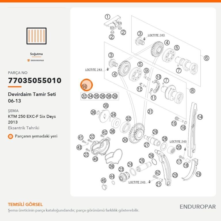 Devirdaim Tamir Seti 06-13 77035055010 parça şeması